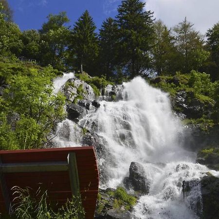 Waldloft Titisee Exteriör bild